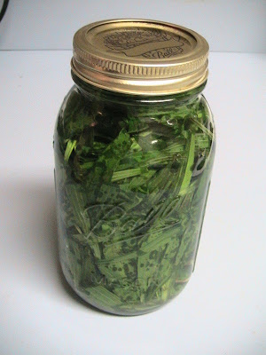 How to Make Nourishing Herbal Infusions.